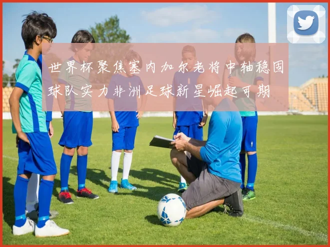 世界杯聚焦塞内加尔老将中轴稳固球队实力非洲足球新星崛起可期