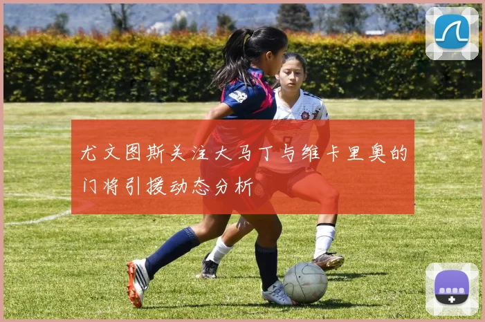 尤文图斯关注大马丁与维卡里奥的门将引援动态分析